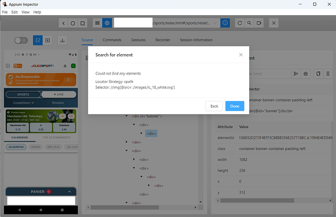 AppiumInspectorWebView-2