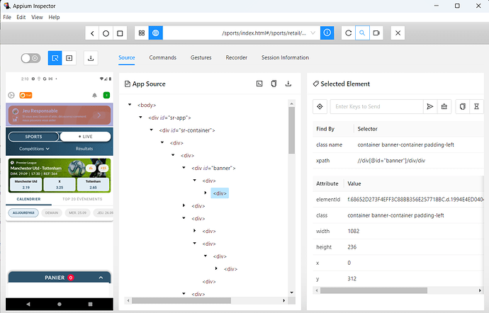 AppiumInspectorWebView