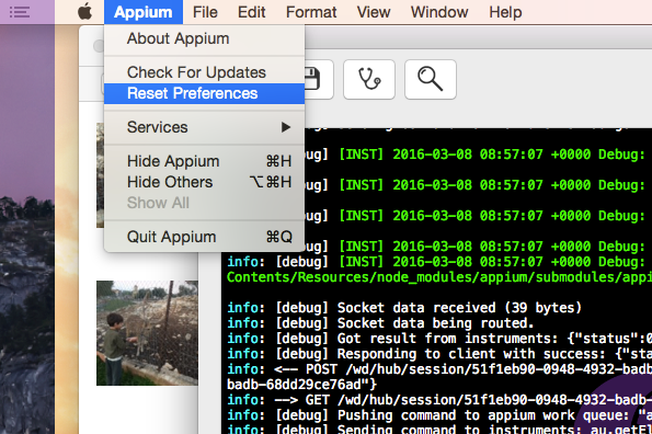 appium server log example