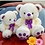 Seshu_Sangeetha