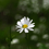 Sowmya_Madhan